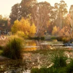 Jardín botánico de la Universidad de Talca