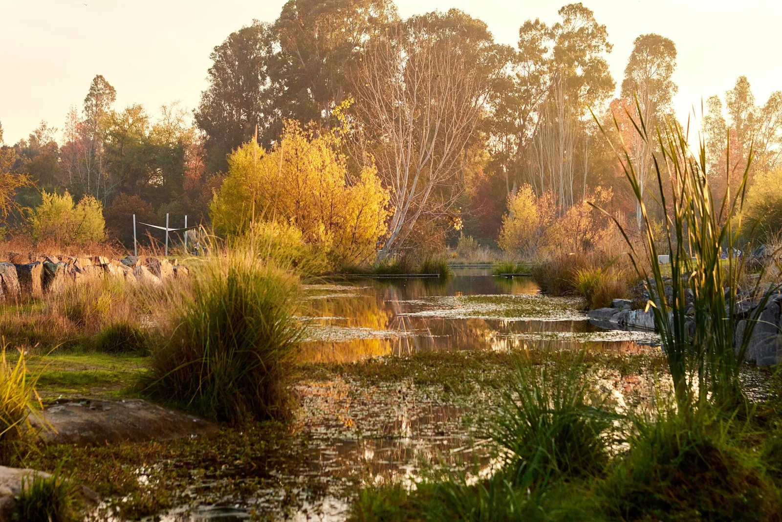 Jardín botánico de la Universidad de Talca