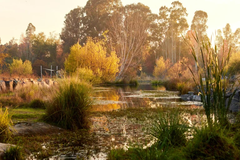 Jardín botánico de la Universidad de Talca