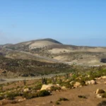 La Cebada