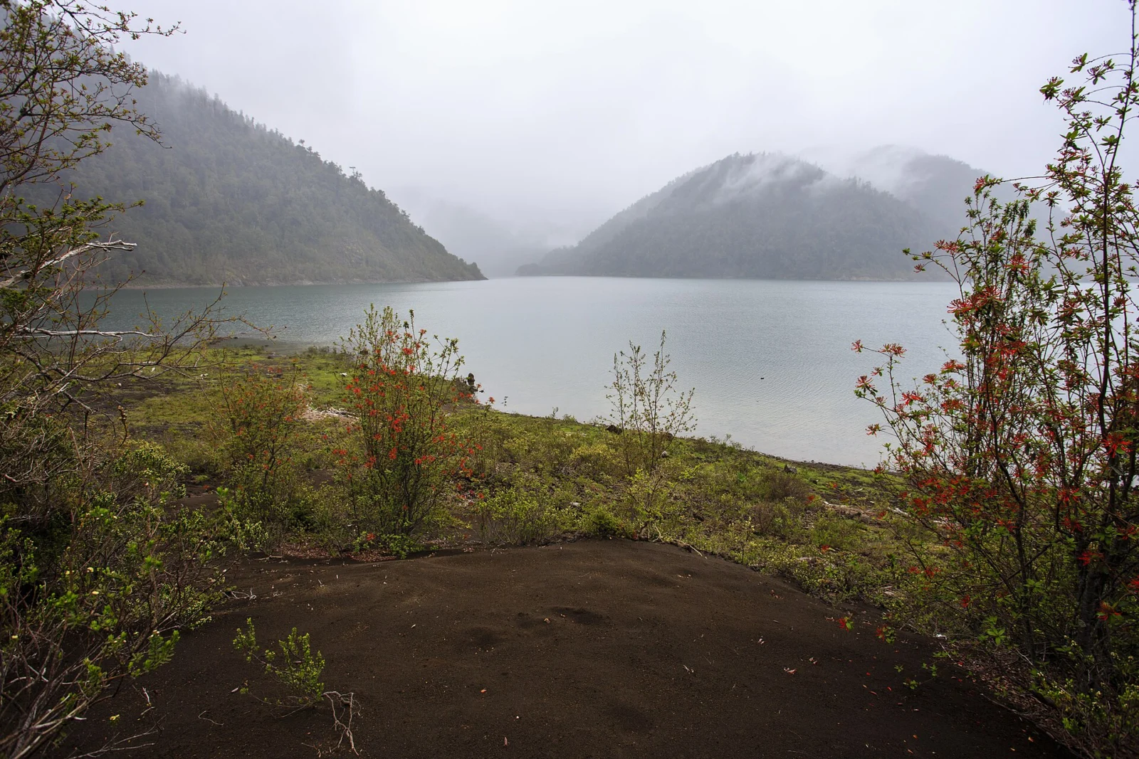 Lago Cabrera