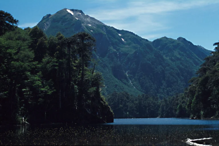 Lago Toro