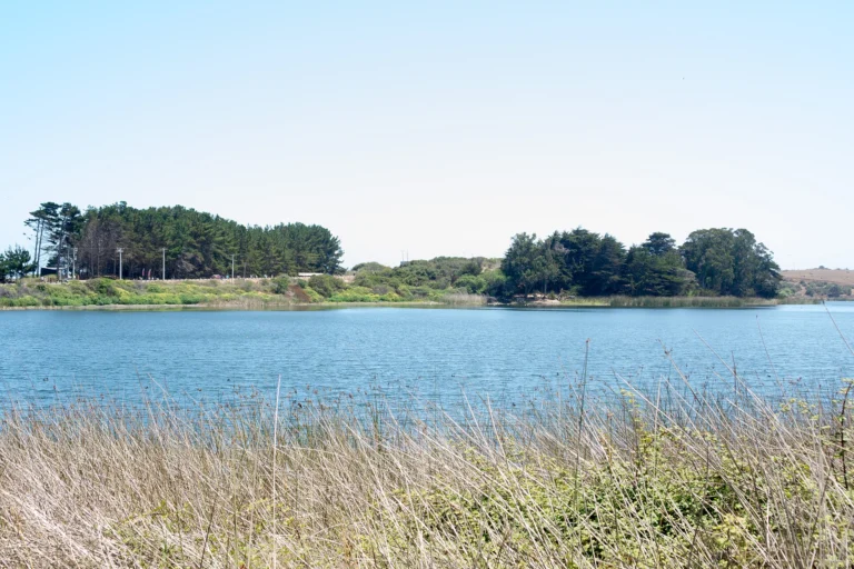 Laguna El Perro