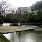 Laguna Los Patos - Universidad de Concepción
