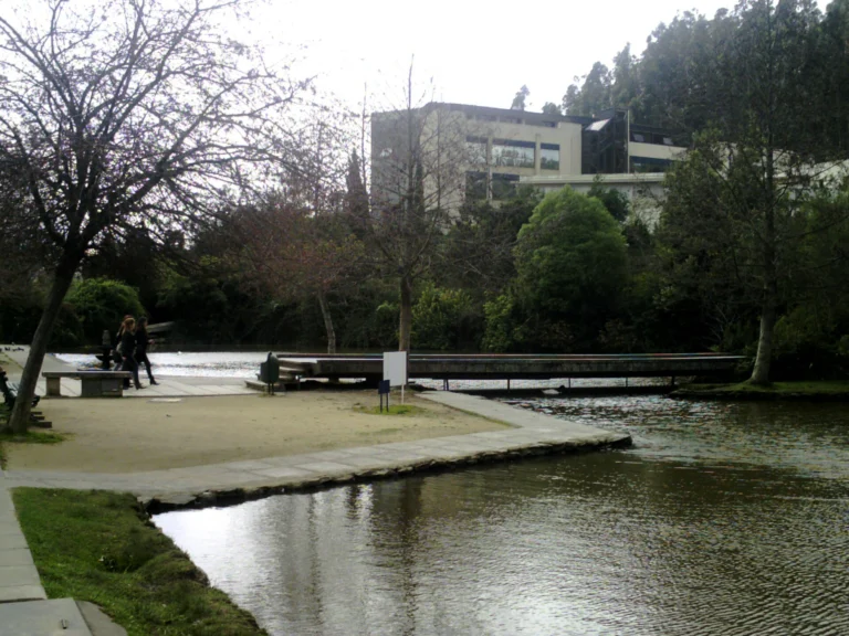 Laguna Los Patos - Universidad de Concepción