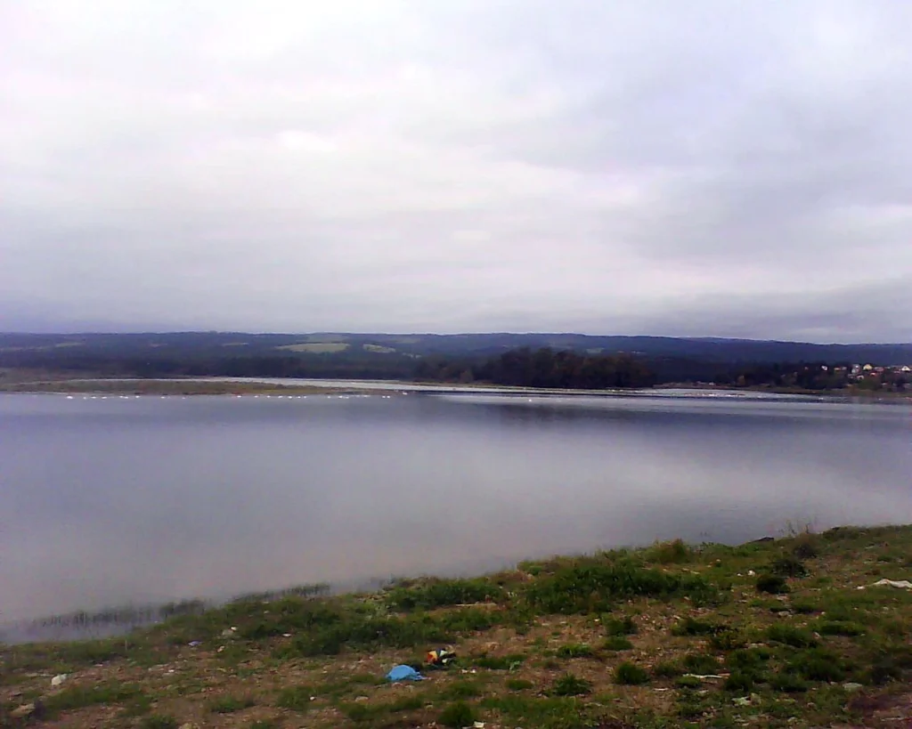Laguna Petrel