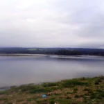 Laguna Petrel