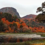 Laguna Quillelhue