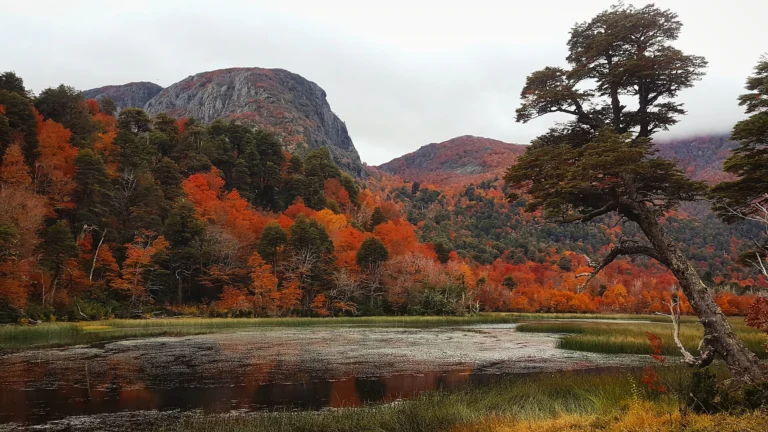 Laguna Quillelhue