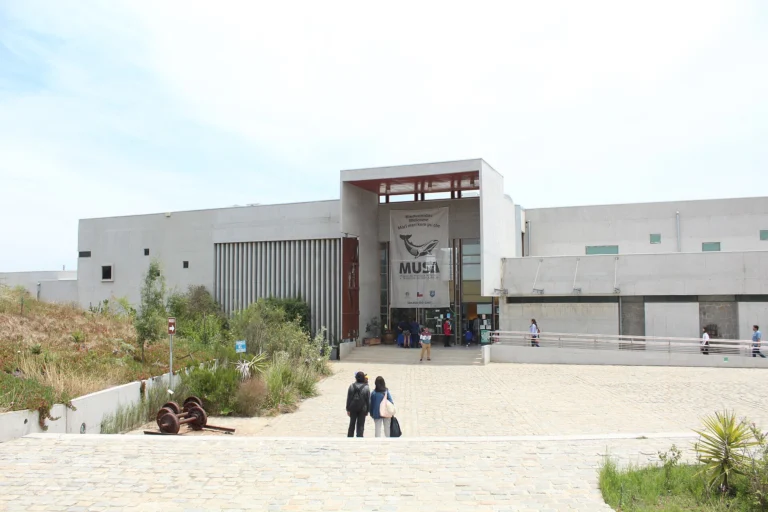 Museo de Historia Natural e Histórico de San Antonio