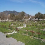 Patio 29
