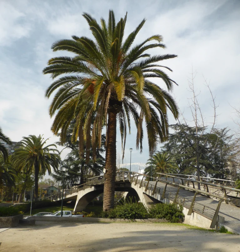 Plaza Pedro de Valdivia