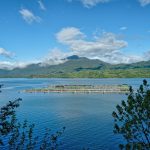 Reserva Nacional Lago Rosselot
