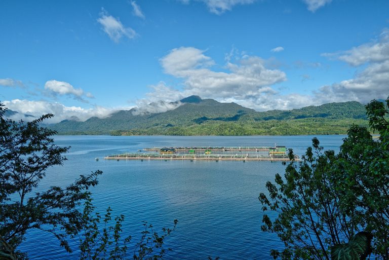 Reserva Nacional Lago Rosselot