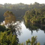 Río San Pedro