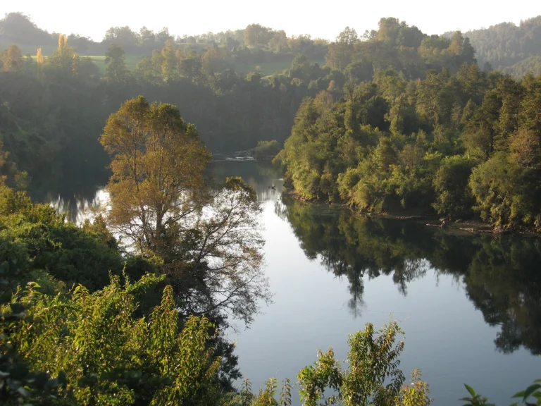 Río San Pedro