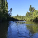 Río Tavolevo