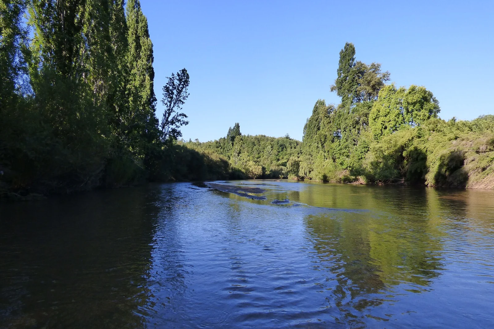 Río Tavolevo