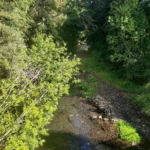 Río Voipir