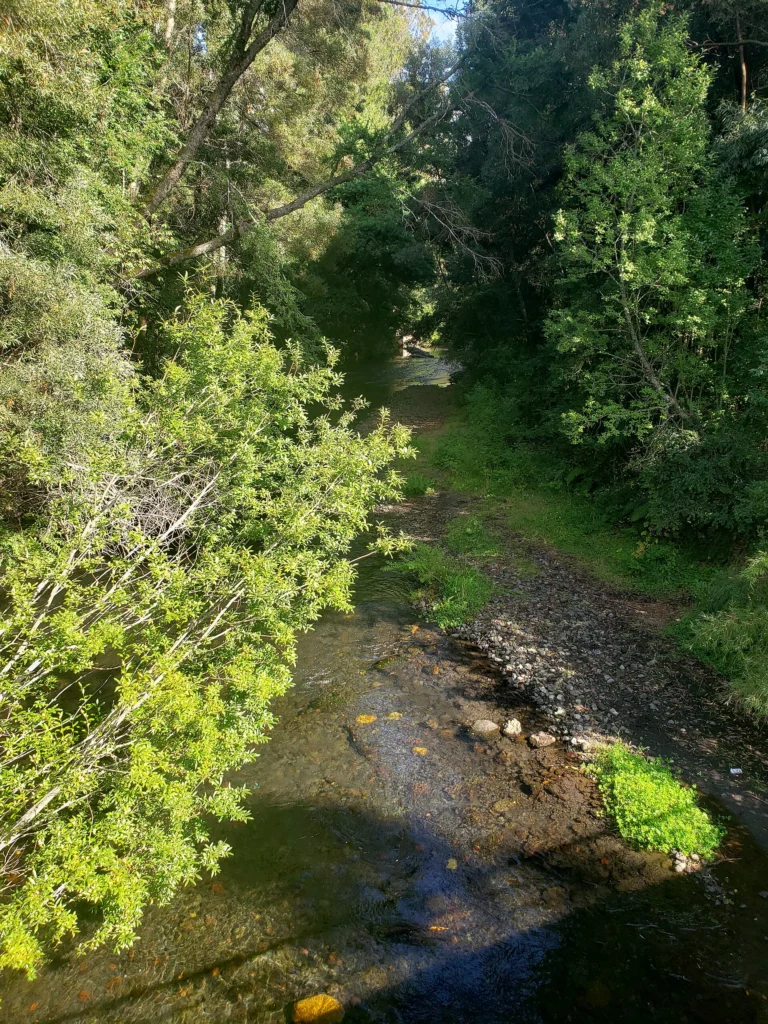 Río Voipir