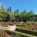 Rosaleda del Parque Araucano