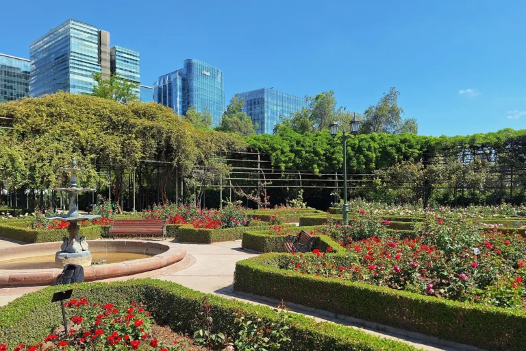 Rosaleda del Parque Araucano