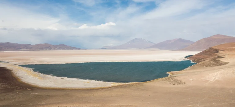 Salar de Carcote