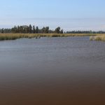 Santuario de la Naturaleza Humedales Costeros de Putú–Huenchullamí