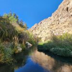 Santuario de la Naturaleza Río Cochiguaz