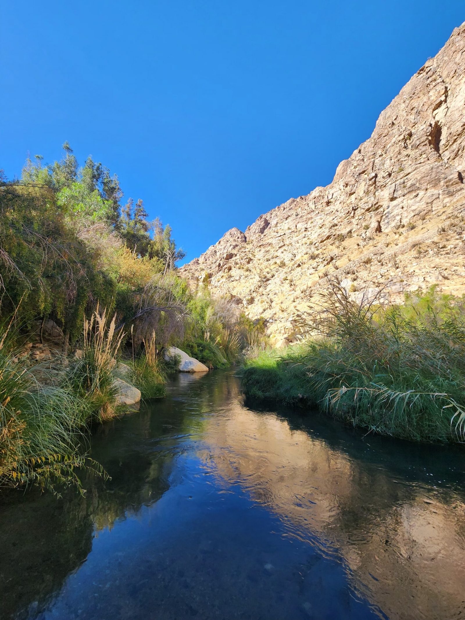 Santuario de la Naturaleza Río Cochiguaz