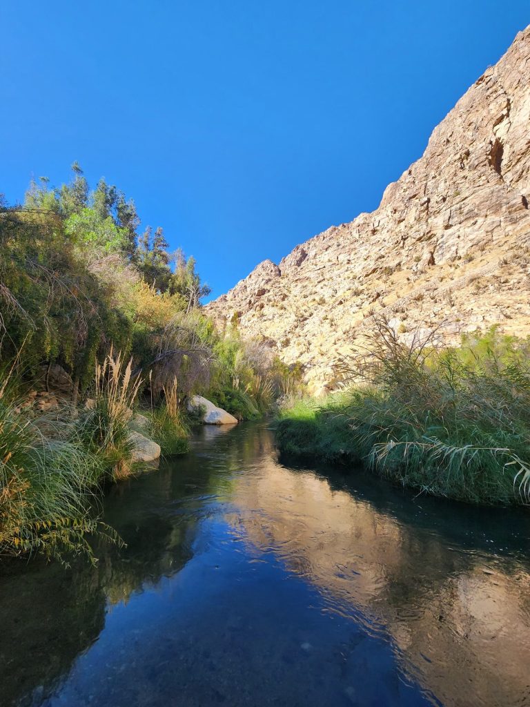 Santuario de la Naturaleza Río Cochiguaz