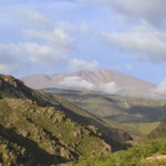 Tata Jachura