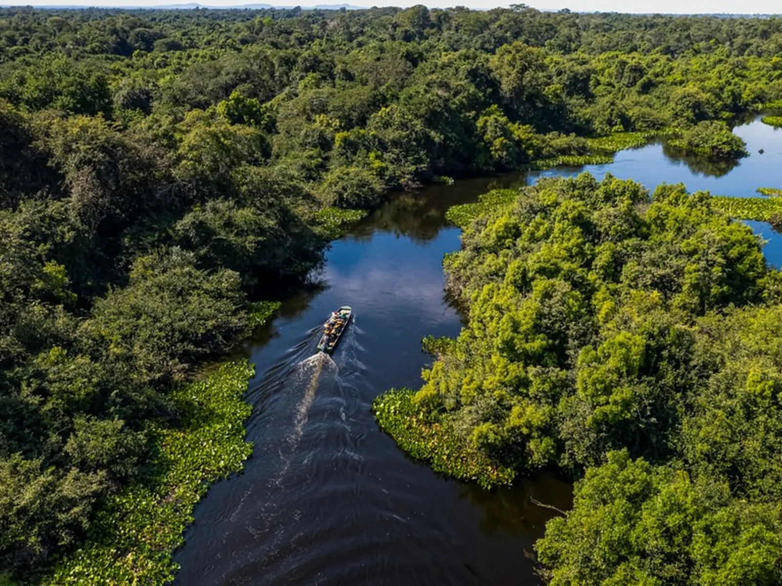 Un actor descubre el Pantanal, el humedal más grande del mundo