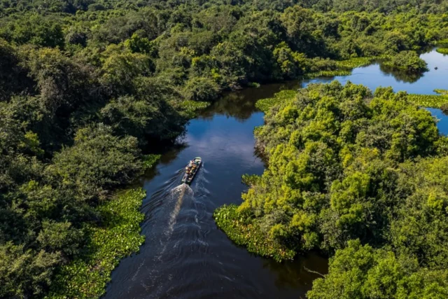 Un actor descubre el Pantanal, el humedal más grande del mundo