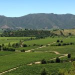 Viña Montes