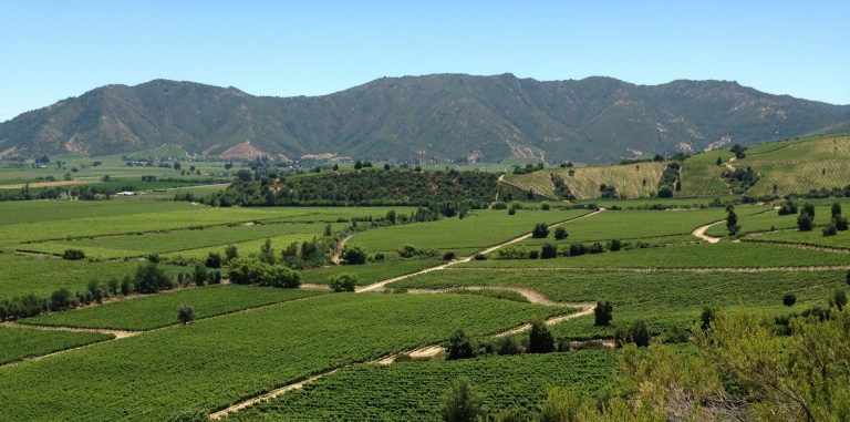 Viña Montes