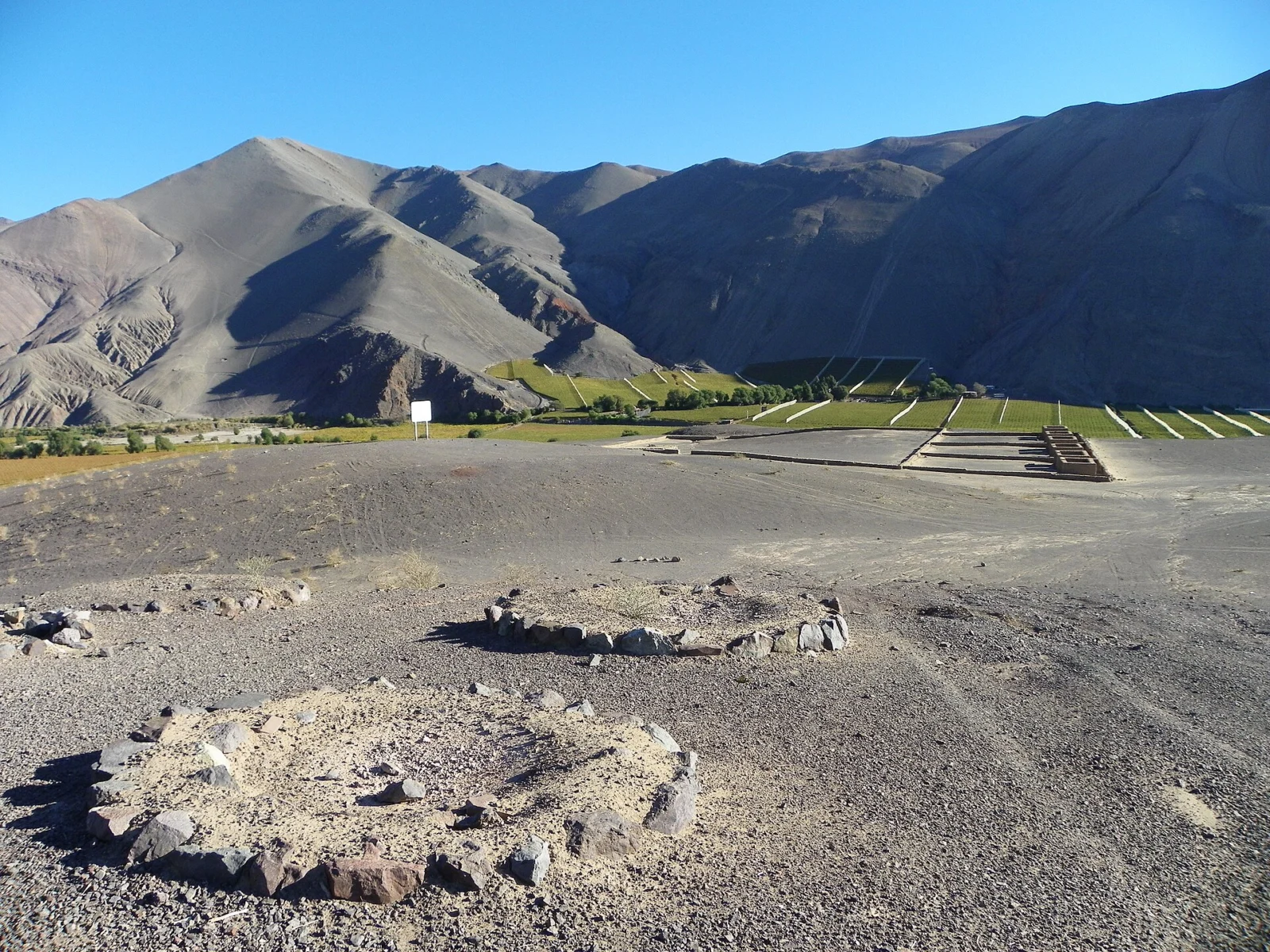 Viña del Cerro