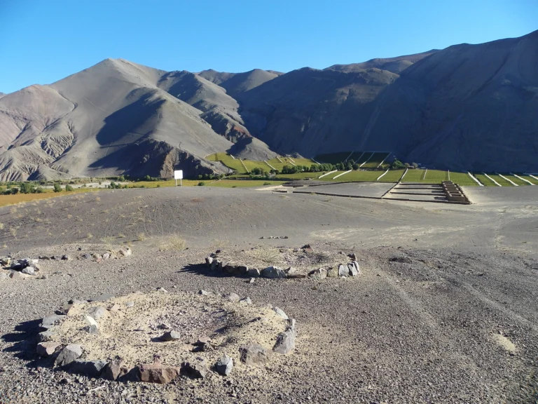 Viña del Cerro