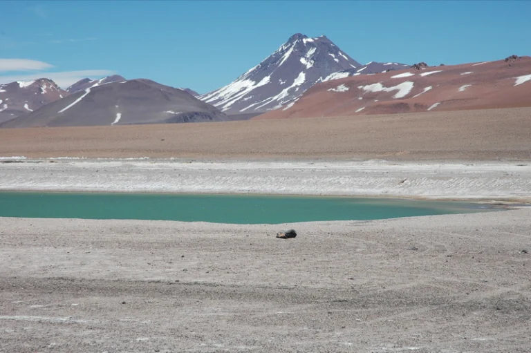 Volcán Acamarachi
