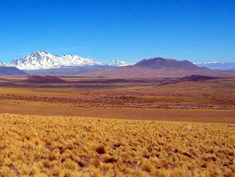 Volcán Pular