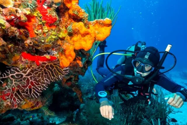 Cozumel cerrará el acceso a cuatro zonas de arrecife en octubre y noviembre