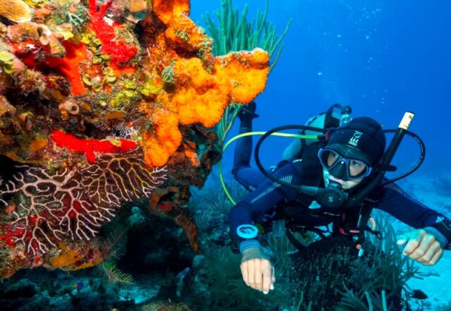 Cozumel cerrará el acceso a cuatro zonas de arrecife en octubre y noviembre