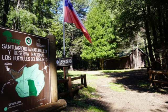 Reserva Los Huemules del Niblinto reabre el 5 de octubre en Ñuble