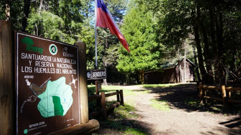Reserva Los Huemules del Niblinto reabre el 5 de octubre en Ñuble