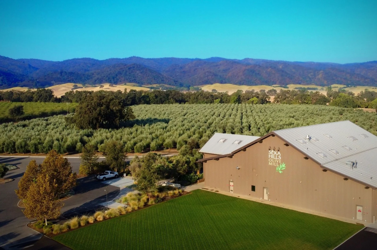 Bodegas indígenas en California: el terroir como historia y cultura