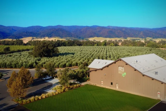 Bodegas indígenas en California: el terroir como historia y cultura