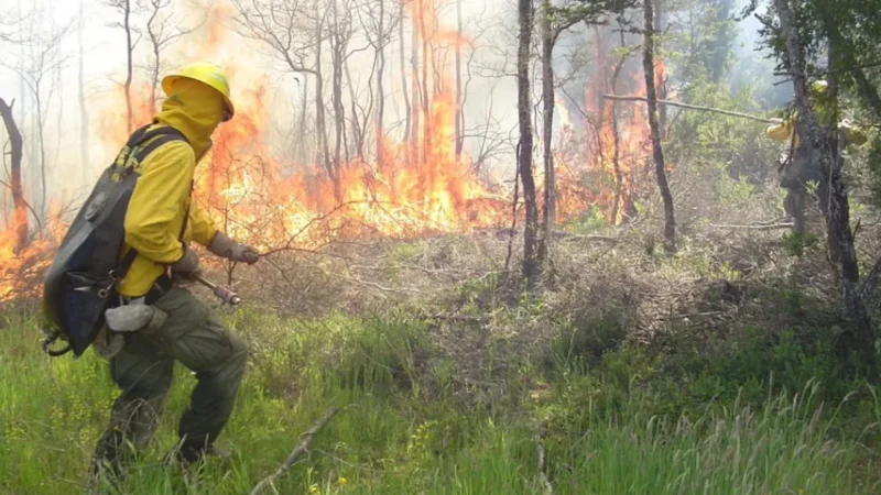 Fiestas Patrias 2026: CONAF refuerza prevención de incendios en parques nacionales de Los Lagos