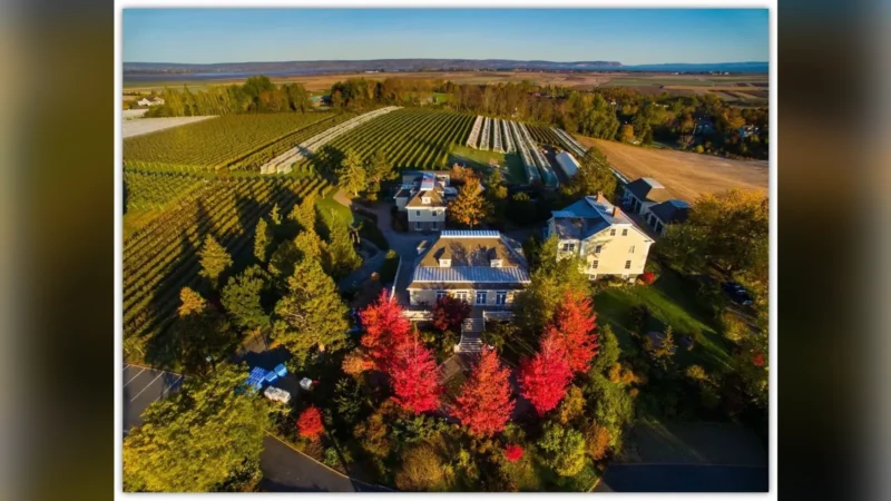 Annapolis Valley: el valle de Nueva Escocia que apuesta por el espumoso