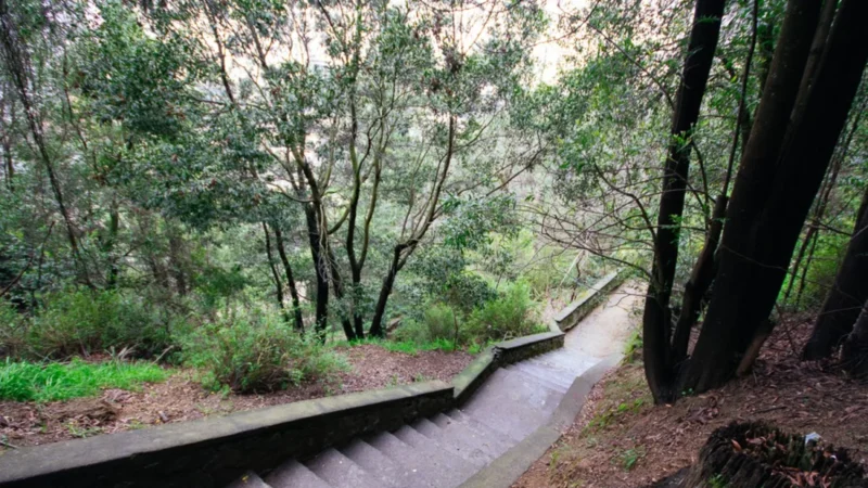 Trekking en Concepción: cuatro rutas entre cerros, bosques y playa