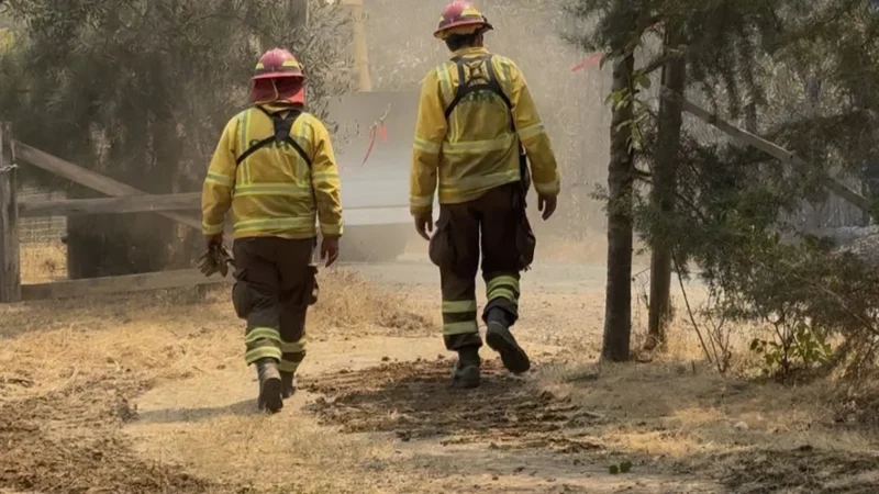 Ñuble suma 700 empleos extra para cortafuegos y prevención de incendios